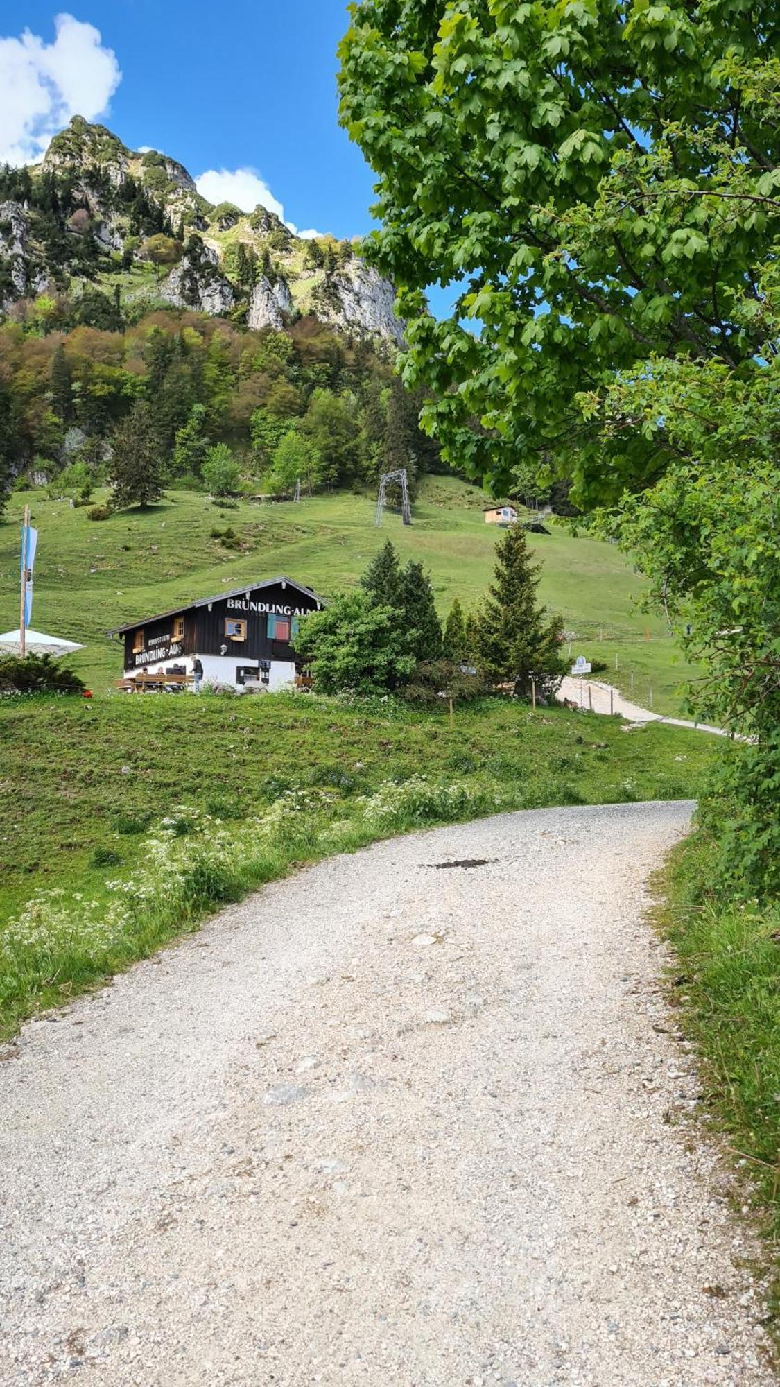 Bruendling-Alm Berggasthof Auf 1167M Auf Dem Hochfelln Bergen  Eksteriør billede